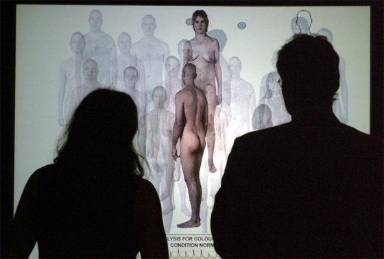 silversalter3 Two people (seen from the back) watch a video installation on which are naked people