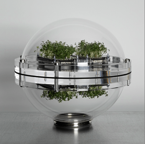 NomadicNatureKit Transparent globe containing small plant