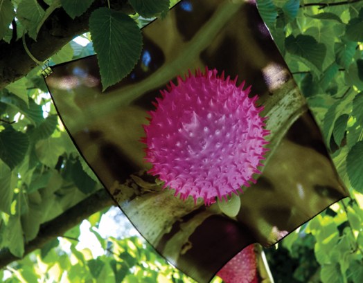 07.Malva-silk_ Micrograph of pollen printed on silk, hanging from tree
