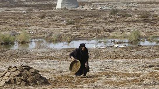 6a00e54f927728883301156fc59f35970c-800wi-545x305