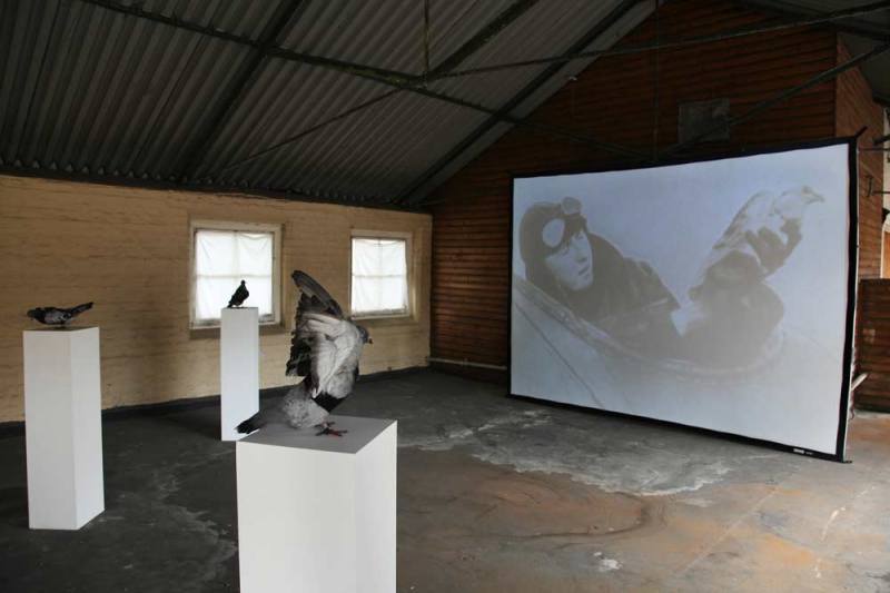 PigeonBlog, Beatriz da Costa, 2008. Photo: Kristian Buus