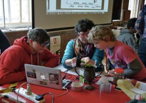 DIY Microscopy & Water Bear Hunting, MadLab's Lab Easy, 2013