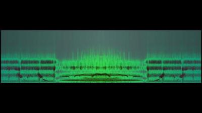 Torsten Lauschmann, Whistler (in Ice Lab)