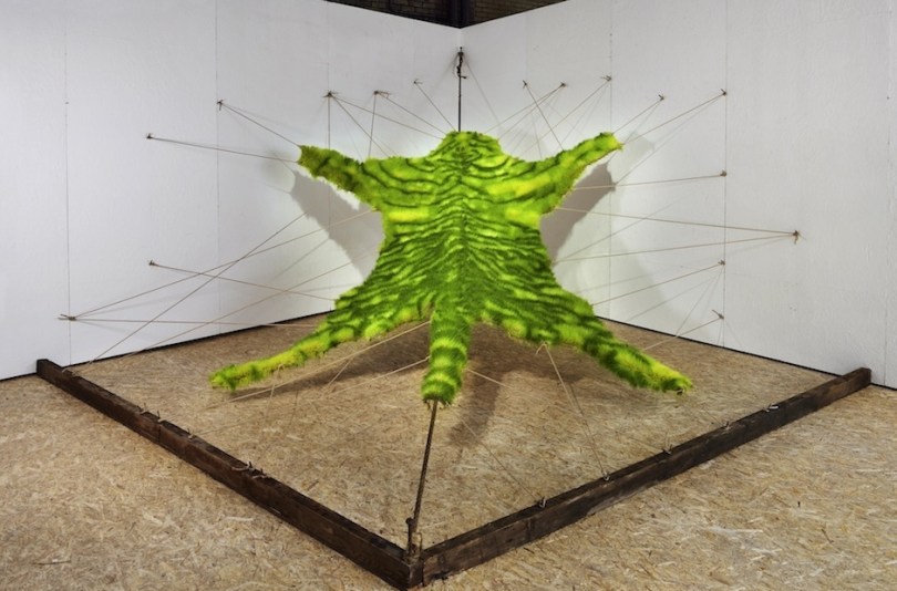 Ackroyd & Harvey, Living Skin, 1992/2014. © Ackroyd & Harvey. Photo: Anne Purkiss. The work was shown in an exhibition from which Ackroyd & Harvey have now withdrawn it, due to their ethical concerns around sponsorship.