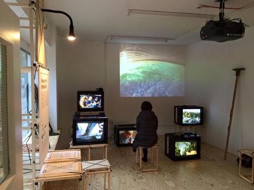 Wrecked on the Inter-tidal Zone - installation shot. Photo: Alec Steadman