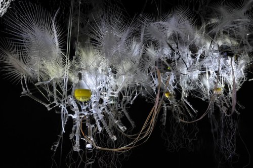 Sentient Chamber, Philip Beesley (c) The Artist