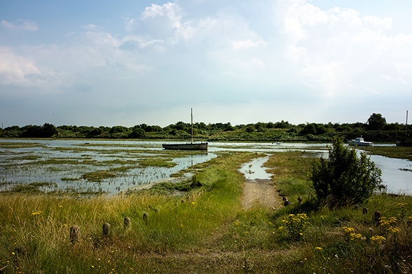 Boat on marsh