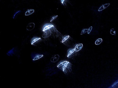 ocean_like_deep_space_2_by_brenli-d2xq620